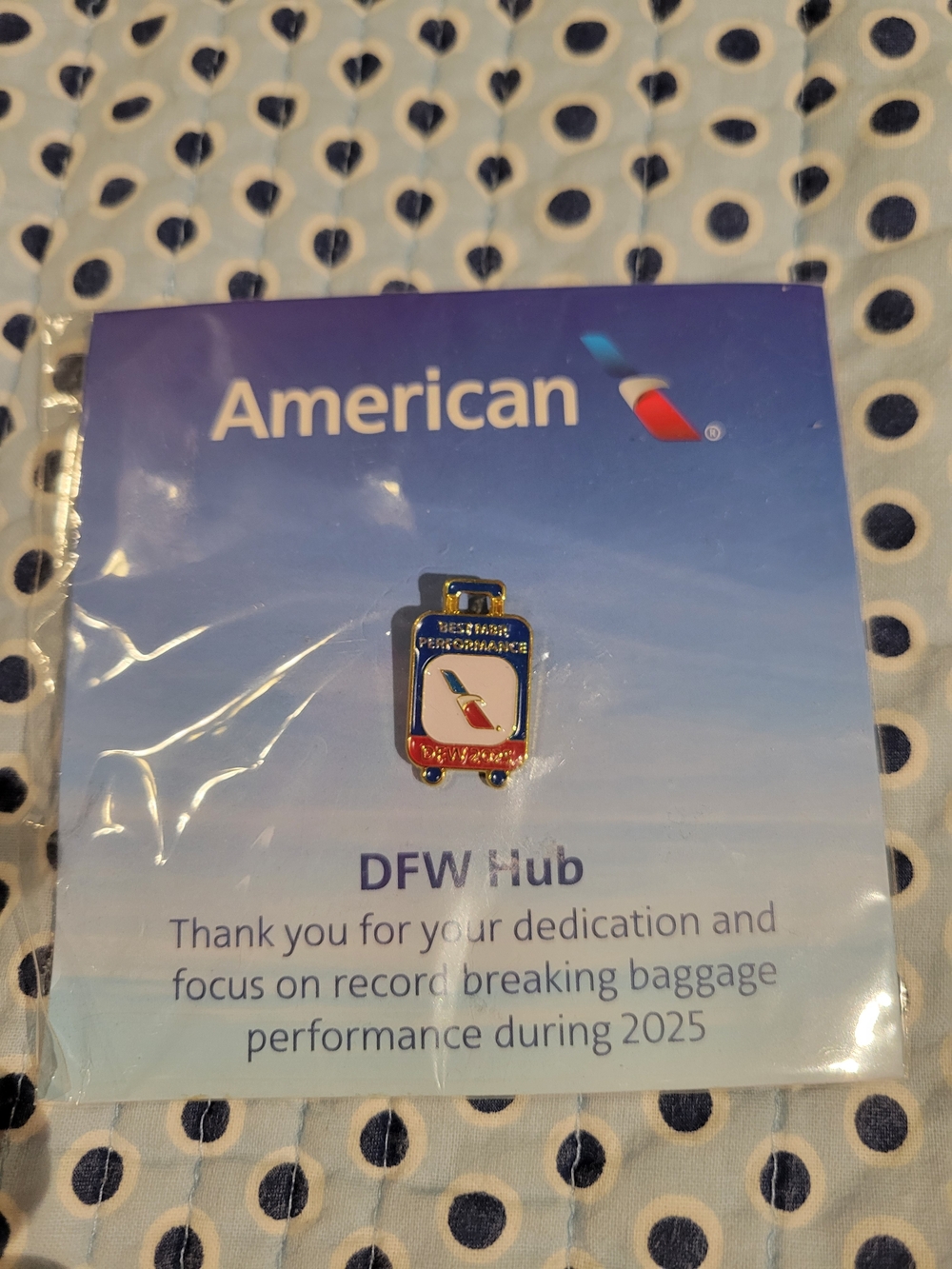 American Vintage blue and red enamel luggage pin